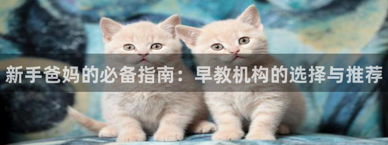 天顺娱乐列72182：新手爸妈的必备指南：早教机构的选择与推荐