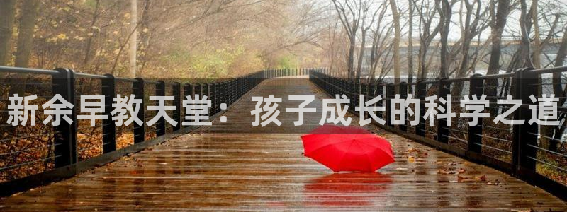 天顺娱乐刀55312：新余早教天堂：孩子成长的科学之道