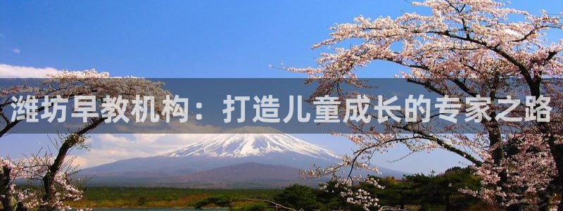 天顺娱乐卜六七五一三八：潍坊早教机构：打造儿童成长的专家之路