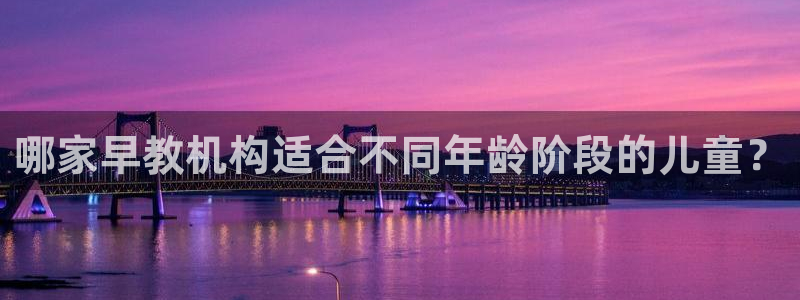 天顺娱乐列 66 6：哪家早教机构适合不同年龄阶段的儿童？