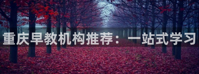 天顺娱乐檀72182：重庆早教机构推荐：一站式学习