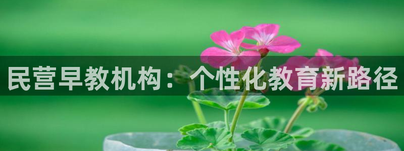 临沧天顺娱乐会所电话：民营早教机构：个性化教育新路径