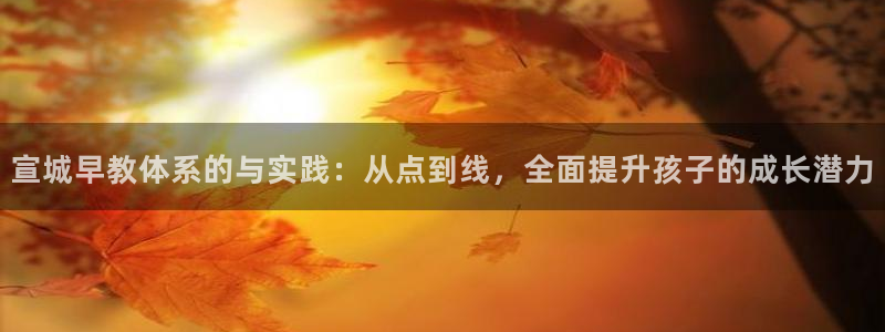 天富天顺娱乐：宣城早教体系的与实践：从点到线，全面提升孩子的成长潜力