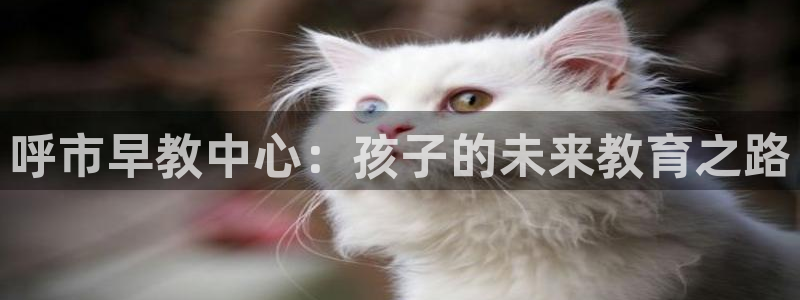 天顺娱乐中943994：呼市早教中心：孩子的未来教育之路