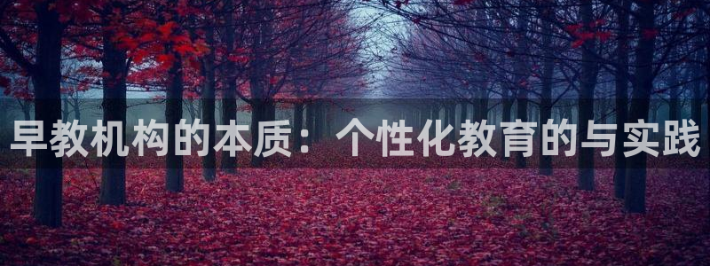 天顺娱乐负责人瓦情pg58856：早教机构的本质：个性化教育的与实践