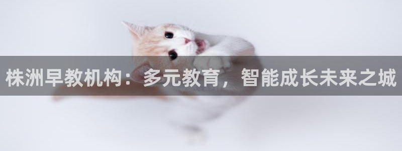 天顺娱乐嘉78778卧：株洲早教机构：多元教育，智能成长未来之城