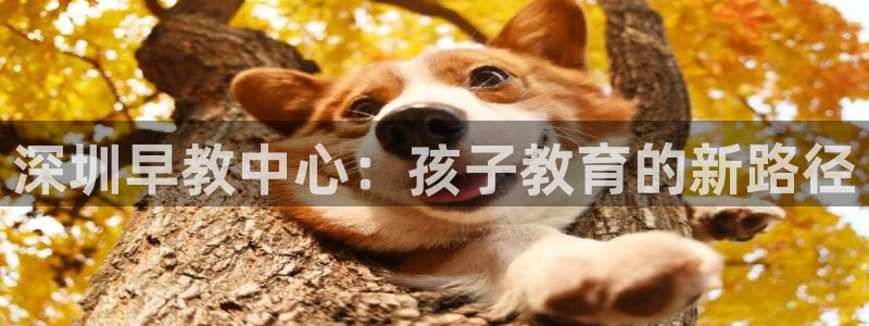 天顺娱乐比税22650：深圳早教中心：孩子教育的新路径