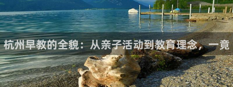 天顺娱乐堪675138：杭州早教的全貌：从亲子活动到教育理念，一竟