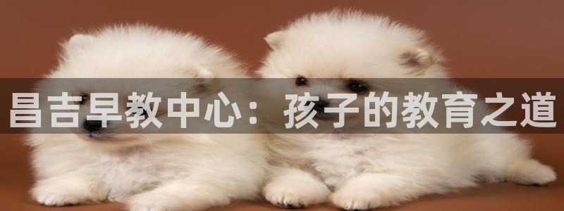 天顺娱乐主管都做什么的：昌吉早教中心：孩子的教育之道