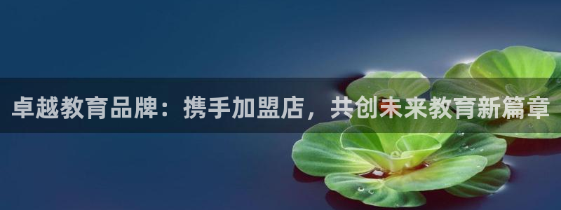 临沧天顺娱乐会所地址:卓越教育品牌:携手加盟店,共创未来教育新篇章