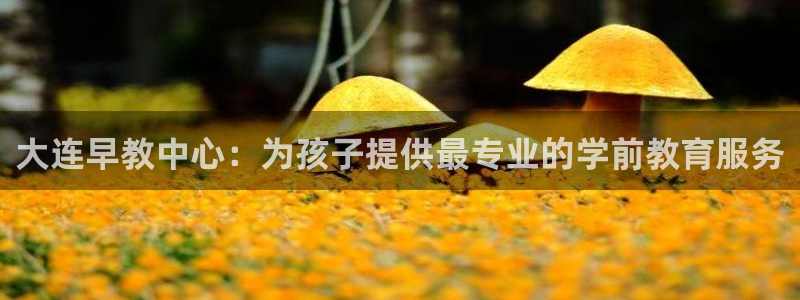 天顺娱乐泵70 48：大连早教中心：为孩子提供最专业的学前教育服务