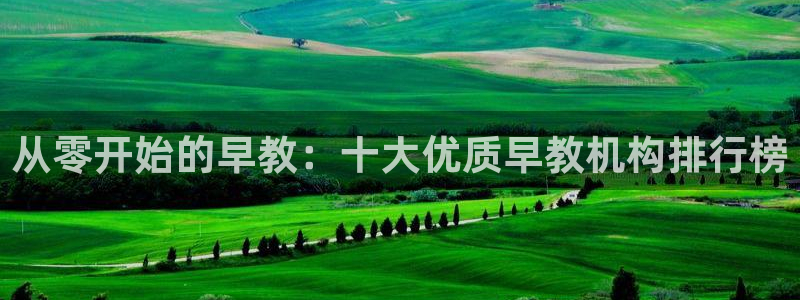 天顺娱乐nu金冫手冫指rx：从零开始的早教：十大优质早教机构排行榜