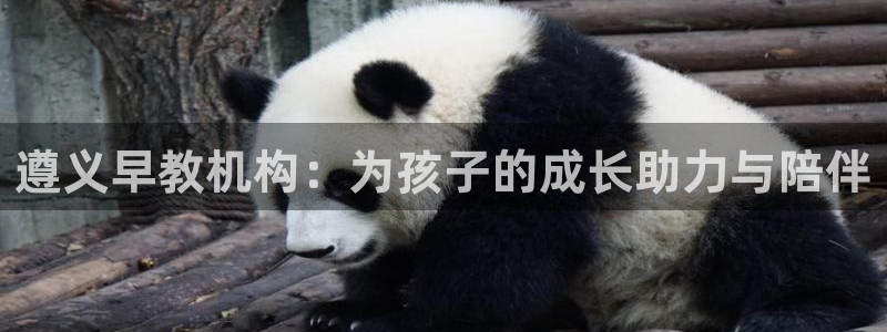 天顺娱乐屠33300：遵义早教机构：为孩子的成长助力与陪伴