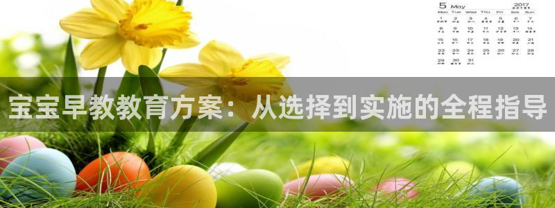 天顺娱乐痛 66 6:宝宝早教教育方案:从选择到实施的全程指导