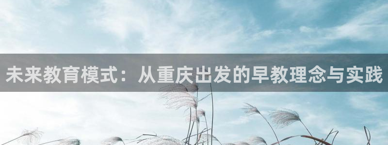 天顺娱乐总代理电话号码:未来教育模式:从重庆出发的早教理念与实践