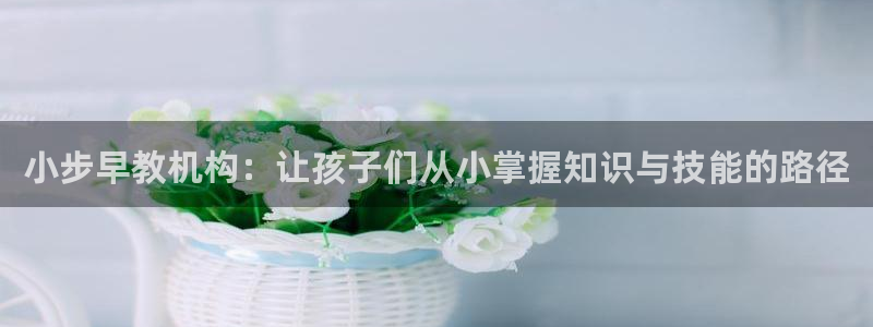 天顺娱乐是真的吗：小步早教机构：让孩子们从小掌握知识与技能的路径