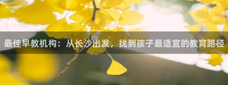 天顺娱乐防47344:最佳早教机构:从长沙出发,找到孩子最适宜的教育路径