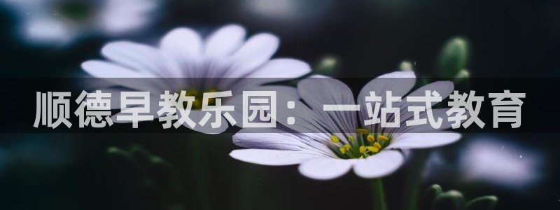 天顺娱乐 -多少钱p官58856:顺德早教乐园:一站式教育