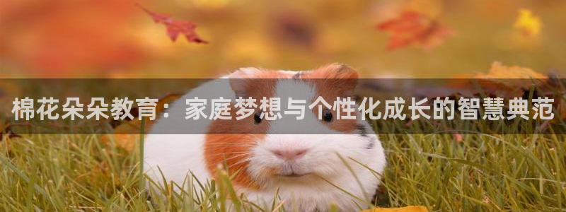天顺娱乐注册里面 79270k：棉花朵朵教育：家庭梦想与个性化成长的智慧典范