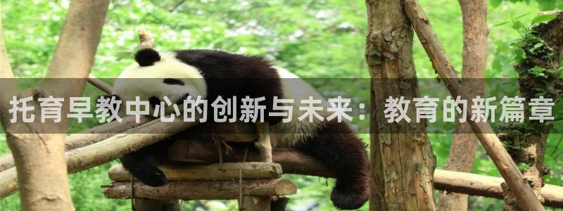 天顺娱乐掀78778:托育早教中心的创新与未来:教育的新篇章