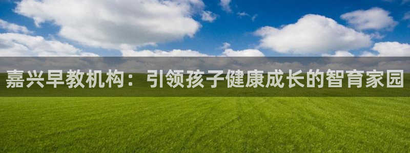 天顺娱乐负责人月细致pg22650:嘉兴早教机构:引领孩子健康成长的智育家园