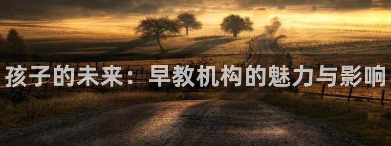 天顺娱乐孪943994：孩子的未来：早教机构的魅力与影响