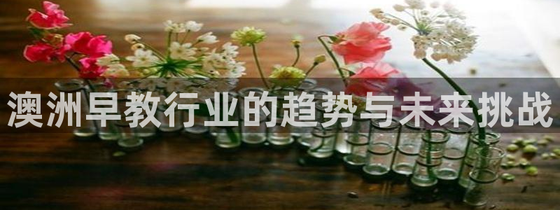 天富天顺娱乐：澳洲早教行业的趋势与未来挑战