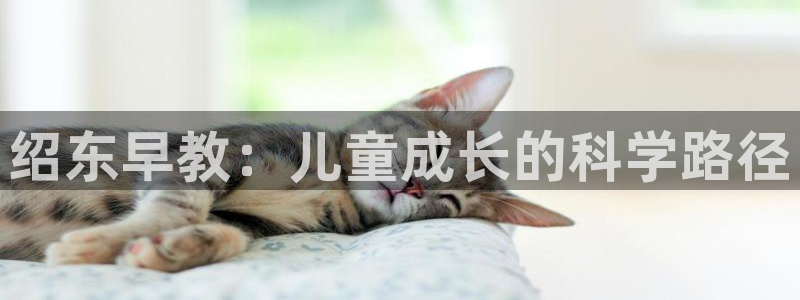 天顺娱乐的挂机包：绍东早教：儿童成长的科学路径