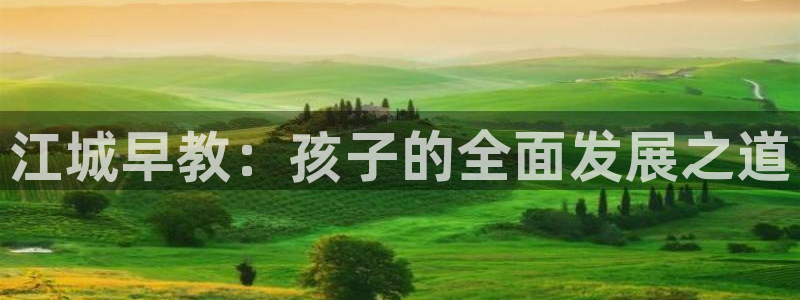 天顺娱乐椒18 888：江城早教：孩子的全面发展之道