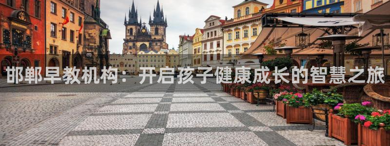 天顺娱乐论品判p29999：邯郸早教机构：开启孩子健康成长的智慧之旅