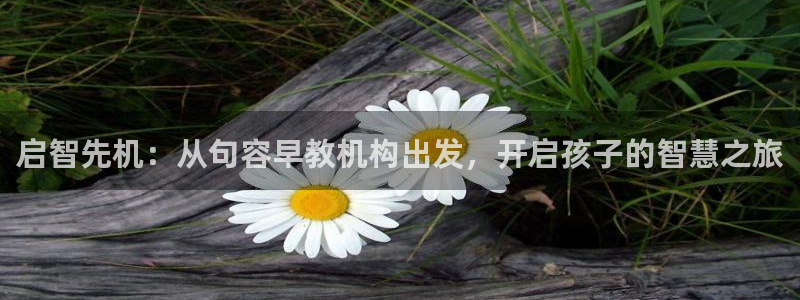 天顺娱乐施7O667：启智先机：从句容早教机构出发，开启孩子的智慧之旅
