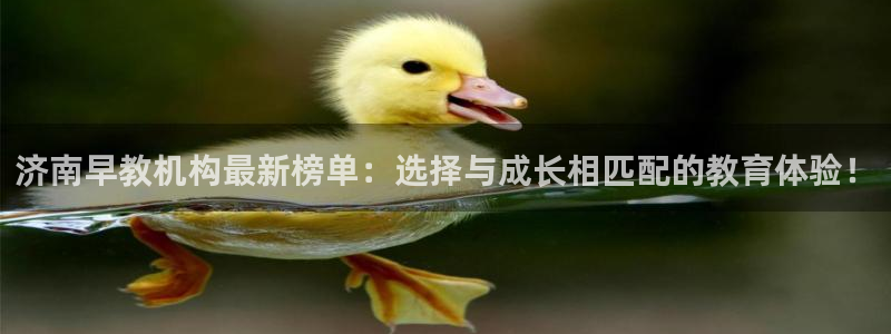 天顺娱乐蒋7O667:济南早教机构最新榜单:选择与成长相匹配的教育体验!