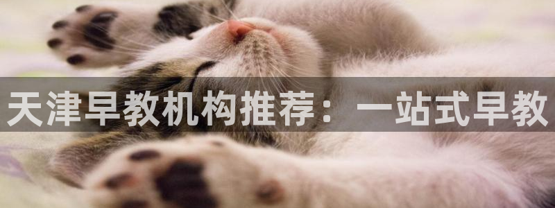 天顺娱乐川v96303:天津早教机构推荐:一站式早教