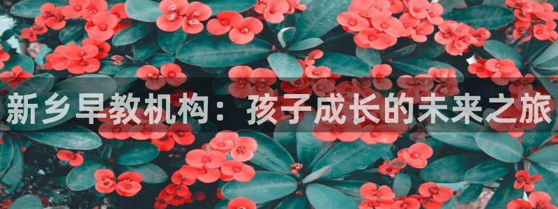 天顺娱乐段18 888:新乡早教机构:孩子成长的未来之旅