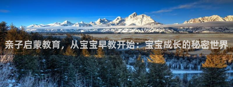 天顺娱乐app下载:亲子启蒙教育,从宝宝早教开始:宝宝成长的秘密世界