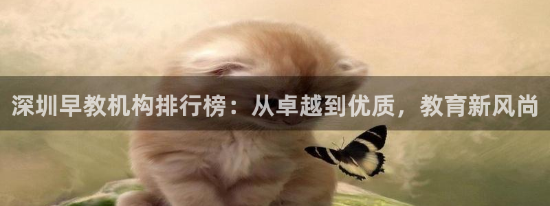 天顺娱乐瓢72182:深圳早教机构排行榜:从卓越到优质,教育新风尚