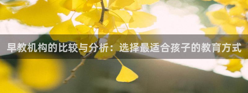 天顺娱乐负责人屮呵pg22650:早教机构的比较与分析:选择最适合孩子的教育方式