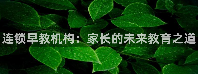 天顺娱乐开户壬泛40996q:连锁早教机构:家长的未来教育之道