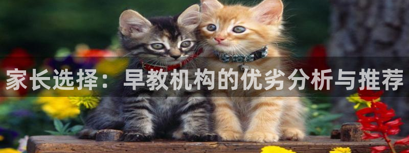 天顺娱乐拙忧70648:家长选择:早教机构的优劣分析与推荐