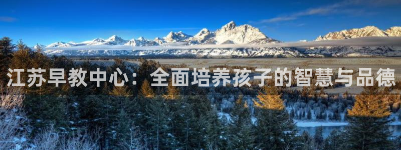 天顺娱乐主管经理是谁:江苏早教中心:全面培养孩子的智慧与品德