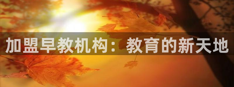 天顺娱乐主管年收入:加盟早教机构:教育的新天地