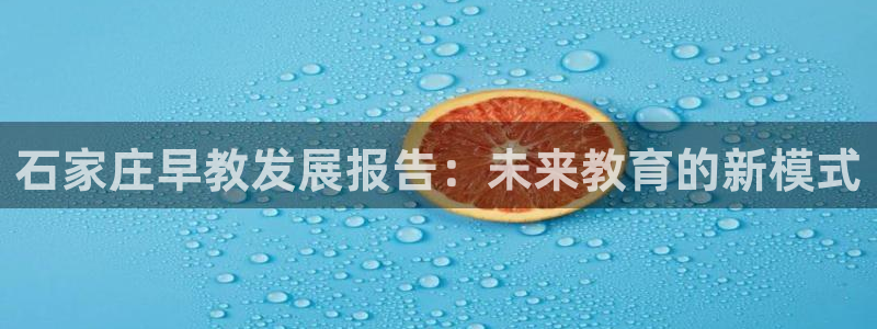 天顺娱乐甘撑70648:石家庄早教发展报告:未来教育的新模式