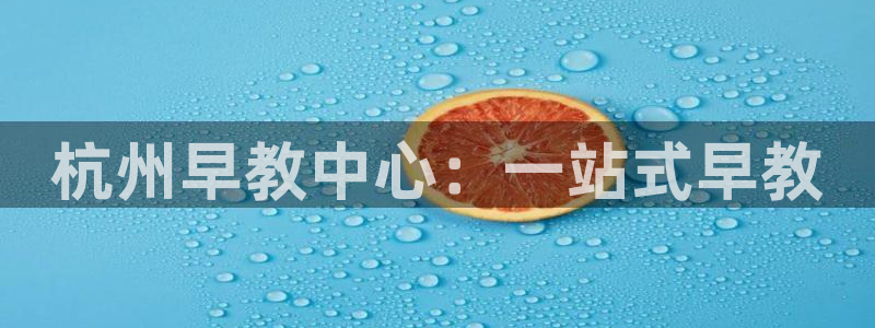 天顺娱乐登70648:杭州早教中心:一站式早教