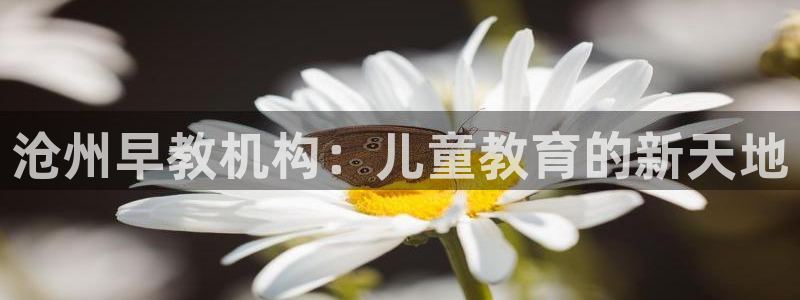 天顺娱乐施7O667:沧州早教机构:儿童教育的新天地