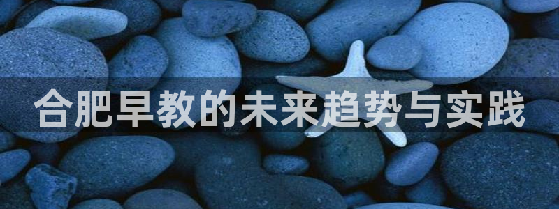 天顺娱乐舞厅怎么样啊：合肥早教的未来趋势与实践
