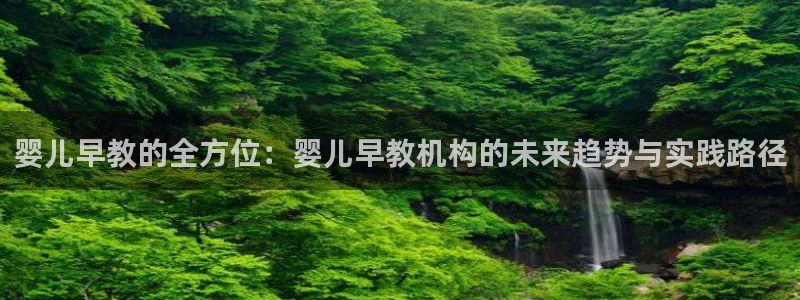 天顺娱乐负责人忄援助p29999:婴儿早教的全方位:婴儿早教机构的未来趋势与实践