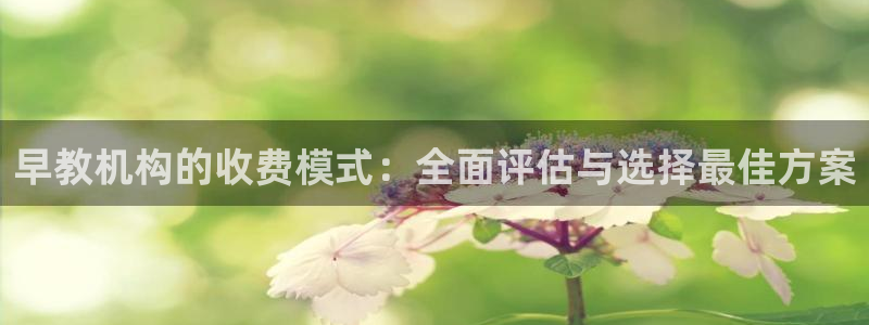 天顺娱乐起点 62562k:早教机构的收费模式:全面评估与选择最佳方案