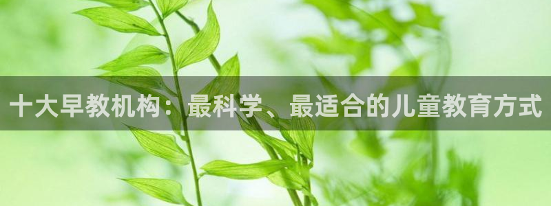 天顺娱乐舞厅在哪里:十大早教机构:最科学、最适合的儿童教育方式