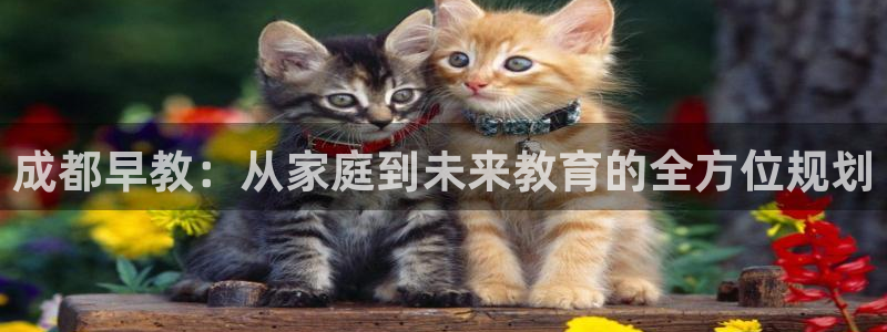 天顺娱乐谘官74ooo5天:成都早教:从家庭到未来教育的全方位规划