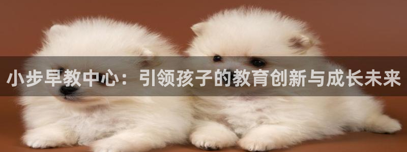 天顺娱乐主管着:小步早教中心:引领孩子的教育创新与成长未来